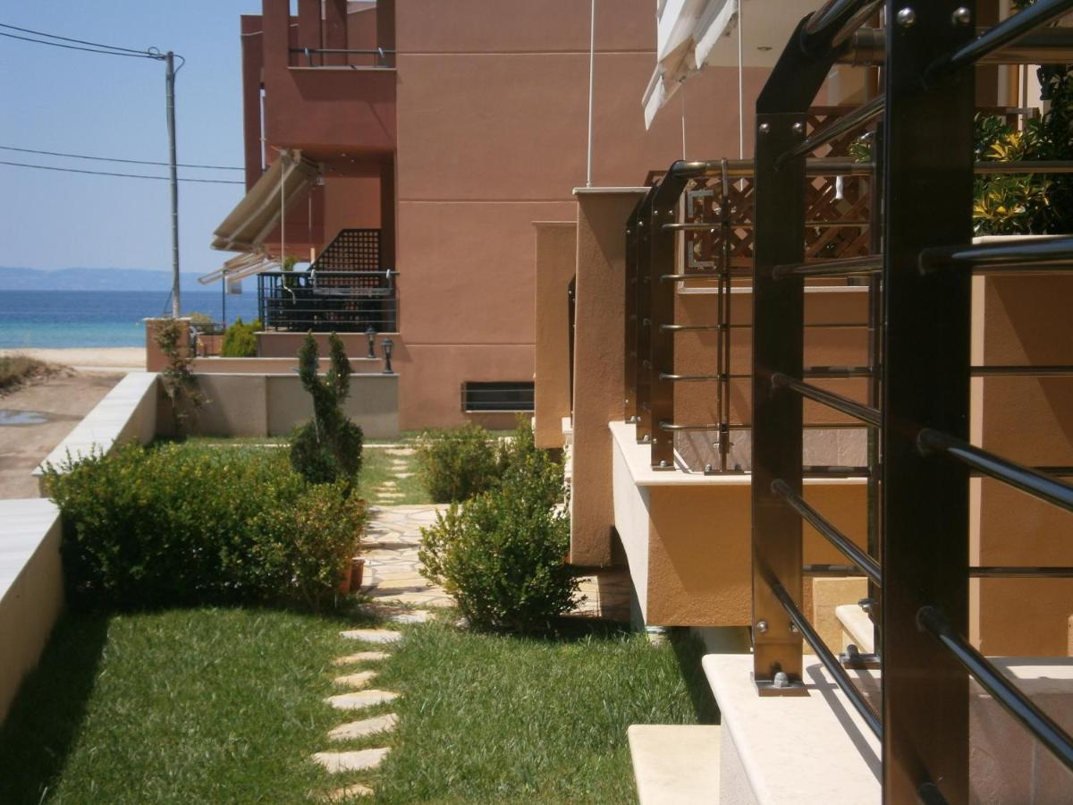 Dafni'S Seaside Luxury Studios Nikiti  Luaran gambar